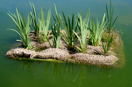 Colchones flotantes