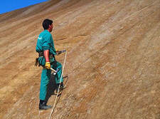 Organic blankets for use in Erosion Control