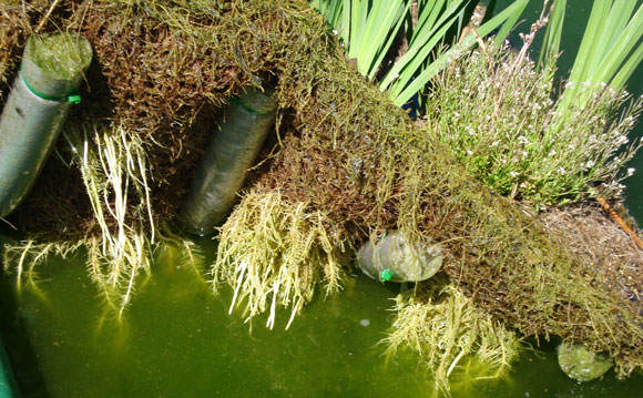 Colchones flotantes Colchones flotantes