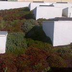 Roof greening