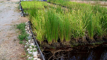 Sistemas prefabricados naturales para la fitodepuracion de aguas residuales en explotaciones agrarias y campos de golf