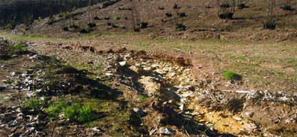 Nuevos materiales para el control de la erosión tras los incendios forestales