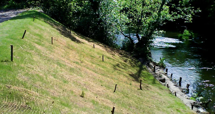 Actuación paisajista en el cauce del rio Miño