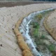 Bioingeniería del paisaje en cauce de un río