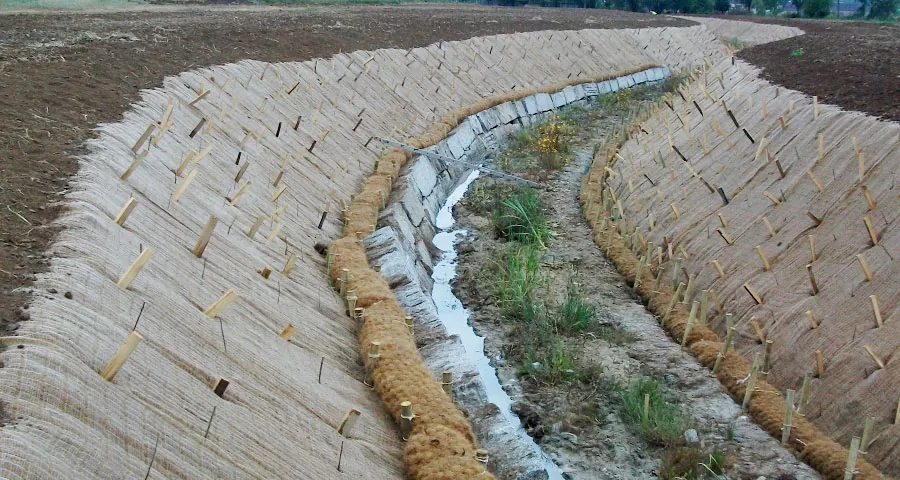Bioingeniería del paisaje en cauce de un río