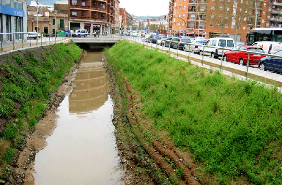 Bioingeniería del suelo