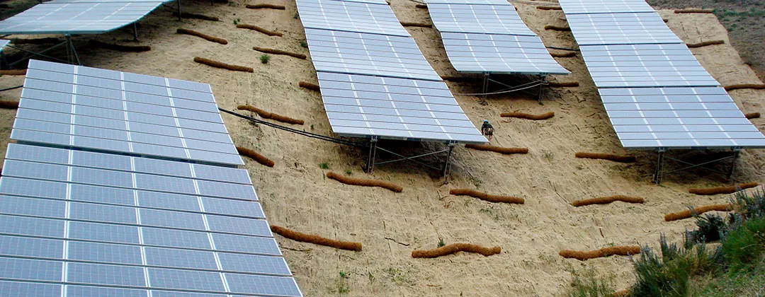 Biorrollos en la planta solar de Moclinejo de Málaga
