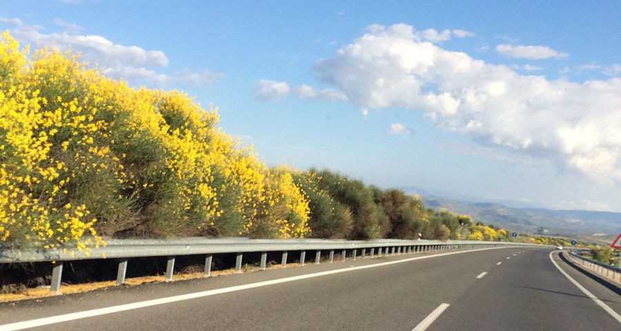 Jornada Carreteras y Vegetación