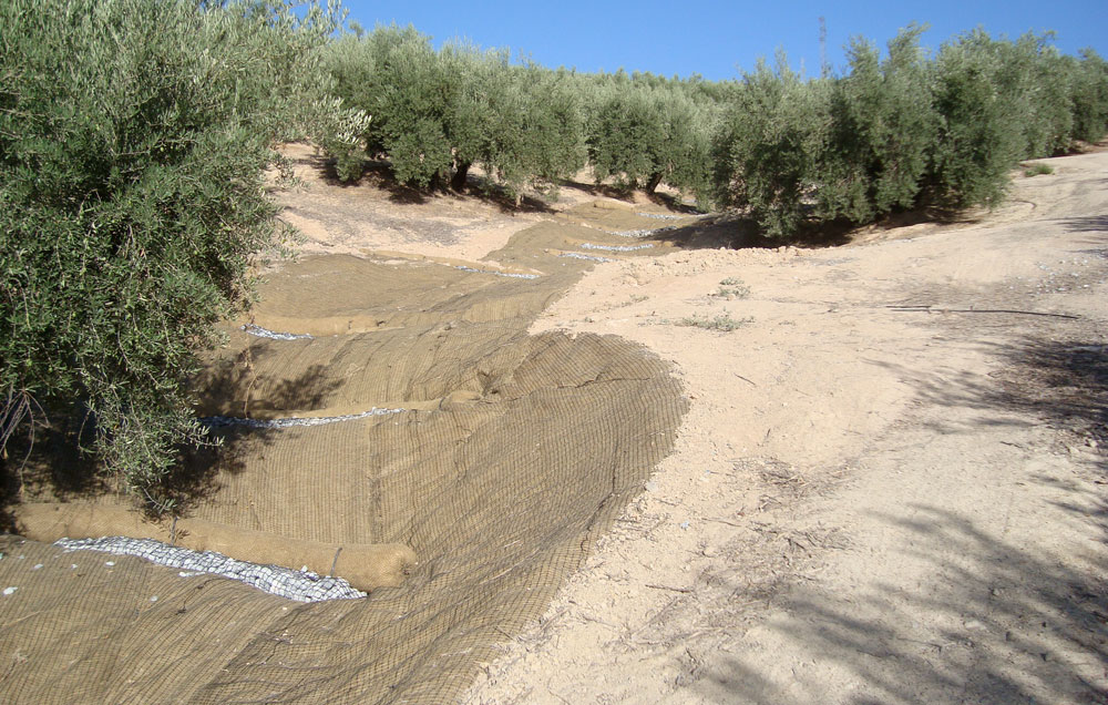 Productos para el control de la erosión en olivar