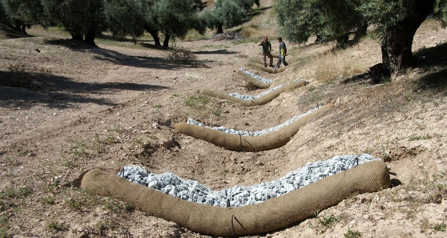 Productos para el control de la erosión en olivar