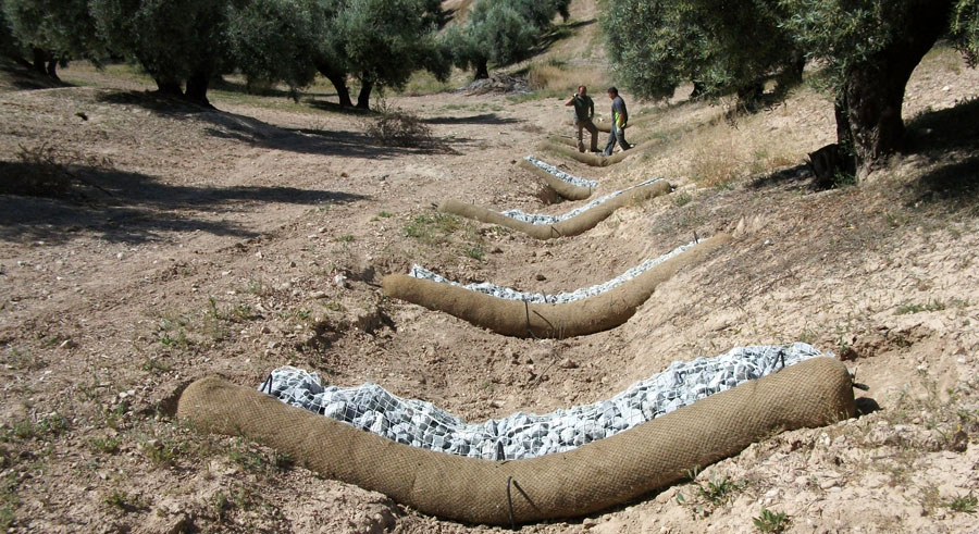 Productos para el control de la erosión en olivar