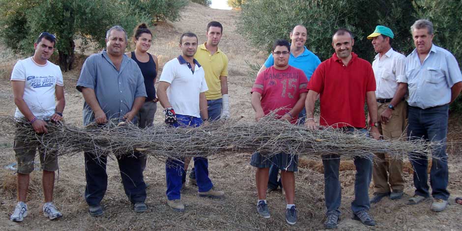 Técnicas de Corrección de Cárcavas y Barranqueras