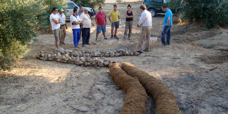 Técnicas de Corrección de Cárcavas y Barranqueras