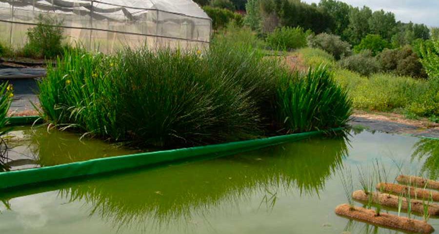 Fitodepuración mediante colchones flotantes con fibra sintética