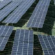 Biorrollos en la planta solar de Moclinejo de Málaga