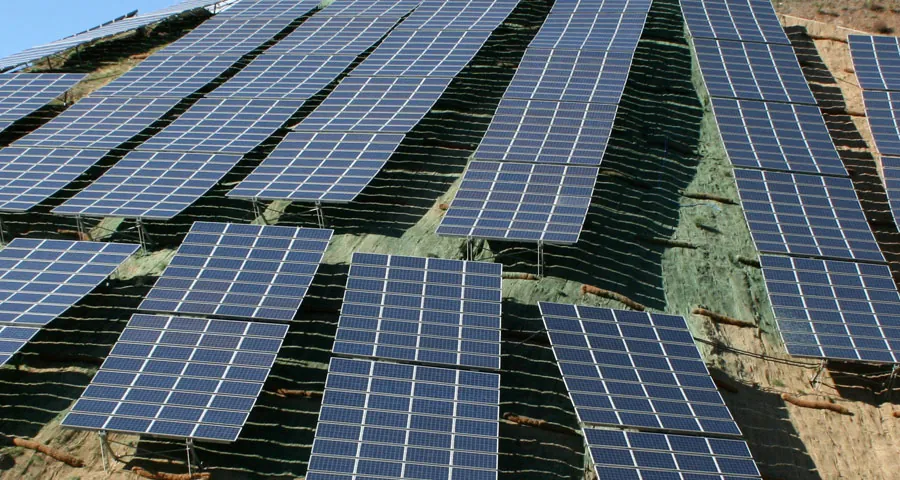Biorrollos en la planta solar de Moclinejo de Málaga
