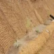 Replantación y mantas orgánicas para regenerar el suelo