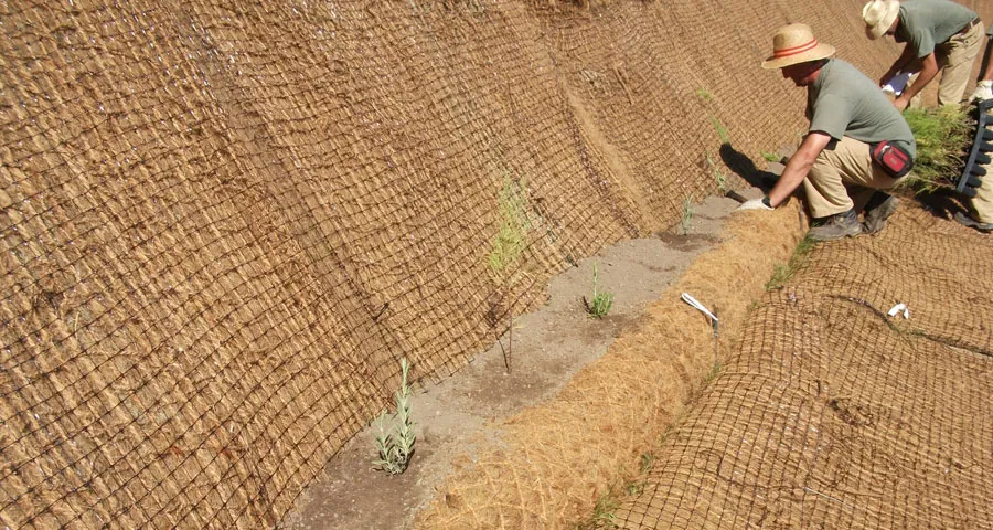 Replantación y mantas orgánicas para regenerar el suelo