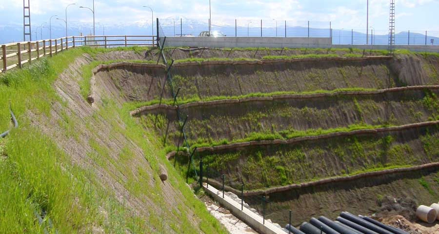 Restauración de talud mediante biorrollos y manta orgánica