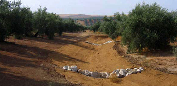 Restauración del paisaje