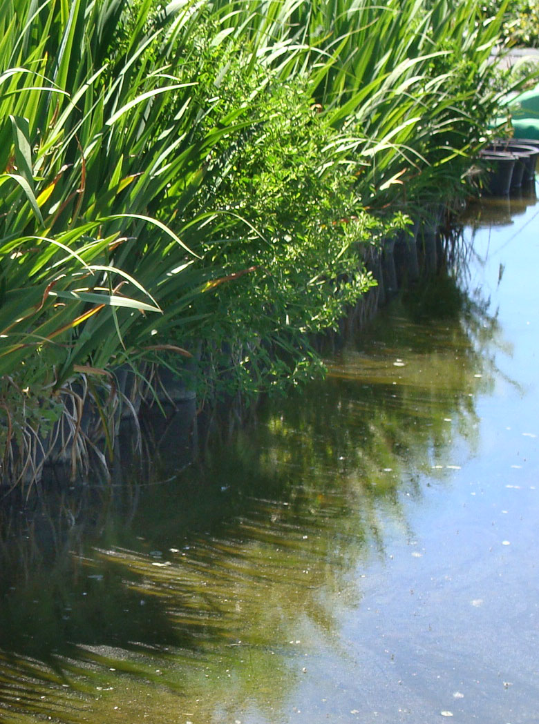 Tratamiento de aguas