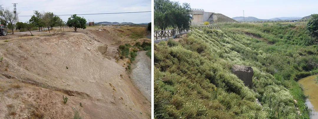 Tratamiento de taludes en ríos Tratamiento de taludes en ríos