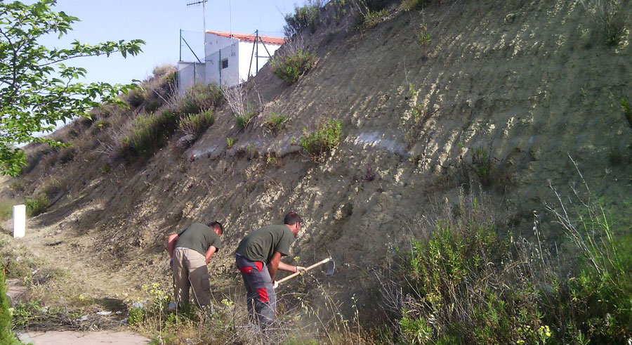 Tratamientos de taludes en zonas urbanas