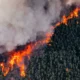 Vista de un bosque en un incendio